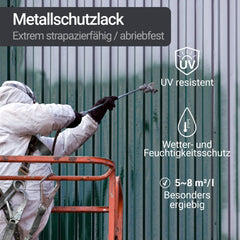 Metal Paint Finishes for Steel Iron Top Colored Coat W900 1-5L