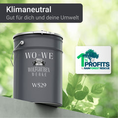 Pintura aislante térmica interior para paredes y techos W529 5-20L