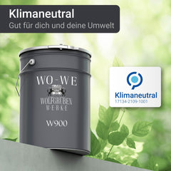 Metal Paint Finishes for Steel Iron Top Colored Coat W900 1-5L
