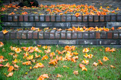 Aceite Ladrillo Azulejos Piedra Pizarra Limpiador Entarimados W290 1-10L