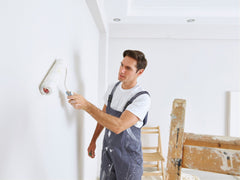 Pintura de látex de pared interior lavable sedoso brillante W556 - Blanco 1-20L