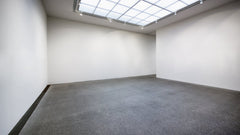 Pintura de látex de pared interior lavable sedoso brillante W556 - Blanco 1-20L