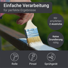 Metal Paint Finishes for Steel Iron Top Colored Coat W900 1-5L