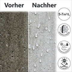 Wall Facades Impregnator Sealer Grouting Waterproof Protection W870-1-10L