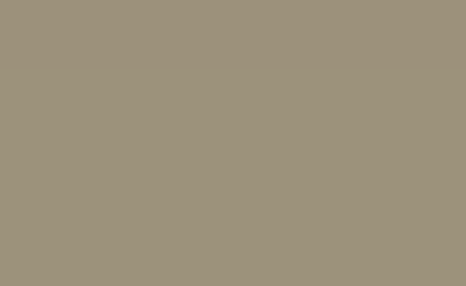 #Farbe_Graubeige RAL 1019
