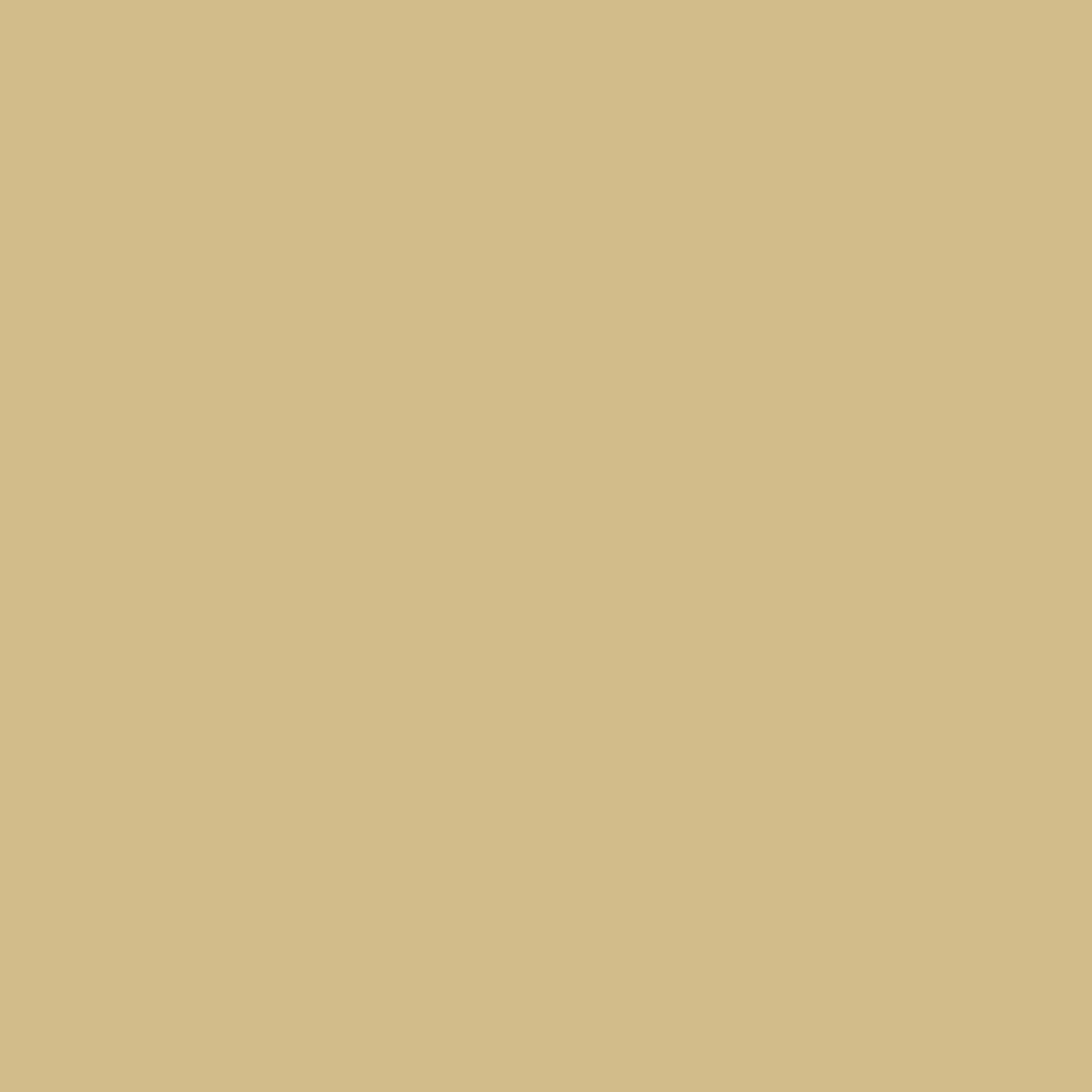 #Farbe_RAL 1001 Beige