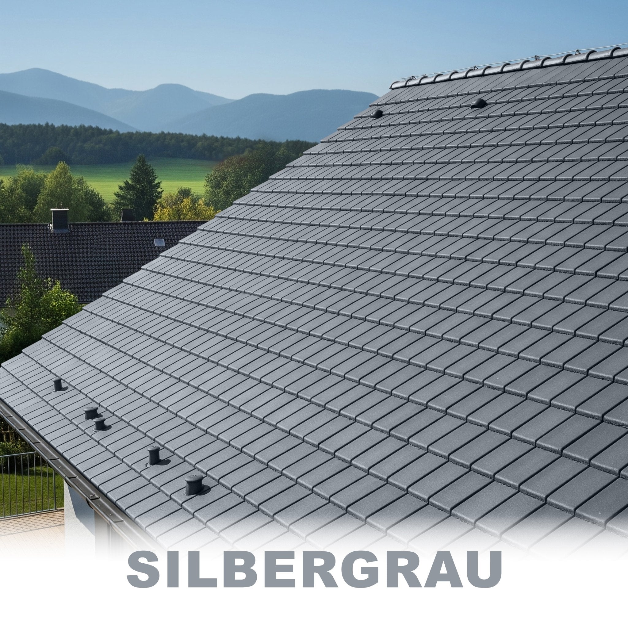 #Farbe_RAL 7001 Silbergrau