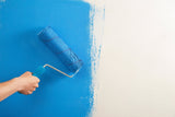  Pintura de emulsión para Paredes y Techos usos Interiores decorativa color Blanco W555 5-20L
