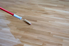 Wood Varnish Hard Floor Stair Parquet Clear Matt W410 1-20L
